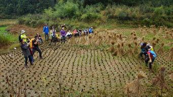 国产野外在线,国产野外在线之旅