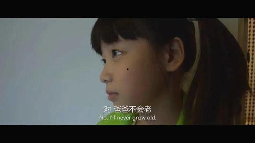 国产色情在线,揭秘网络暗流涌动的灰色地带